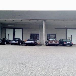 Tre elegantissime Jaguar XJS